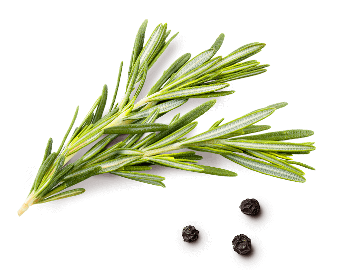 rosemary