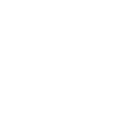 Texas Meat Company